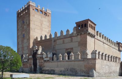 Hrad na predaj Narros de Saldueña, Teniente Cecilio López 48, Castilla y León, Obrázok 1/20