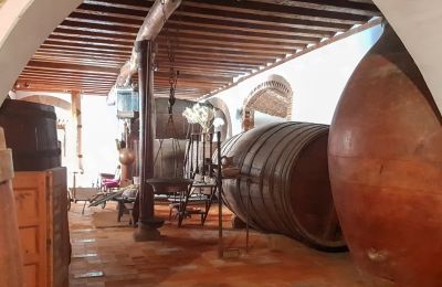 Hrad na predaj Narros de Saldueña, Teniente Cecilio López 48, Castilla y León, Obrázok 8/20