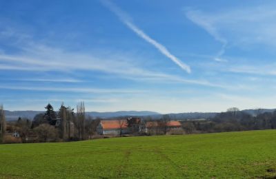 Zámok na predaj Ronov nad Doubravou, Moravany  1, okres Chrudim, Obrázok 17/17