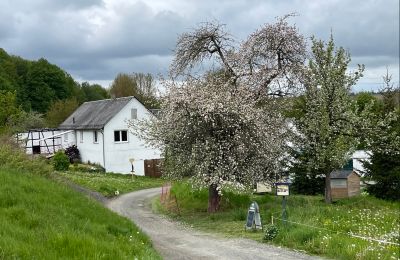 Historická nehnuteľnosť na predaj 07907 Schleiz, Durínsko, Prístup