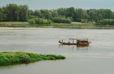 Zámok na predaj Smoszewo, Pałac w Smoszewie, Mazovsko, Obrázok 19/22