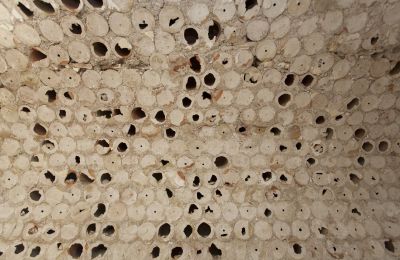 Meštiansky dom na predaj Cassano delle Murge, Puglia, Obrázok 24/24