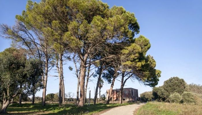 Vidiecky dom na predaj Latiano, Puglia,  Taliansko