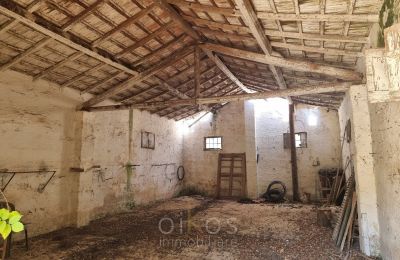 Historická vila na predaj Mesagne, Puglia, Obrázok 29/36