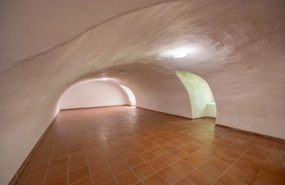 Zámok na predaj 32683 Alverdissen, Severné Porýnie-Vestfálsko, Kellerraum - Ostflügel