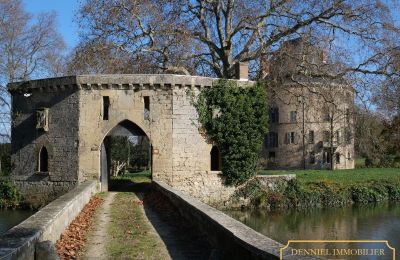 Hrad na predaj Valence, Auvergne-Rhône-Alpes, Obrázok 3/28