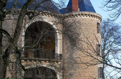 Hrad na predaj Valence, Auvergne-Rhône-Alpes, Obrázok 7/28