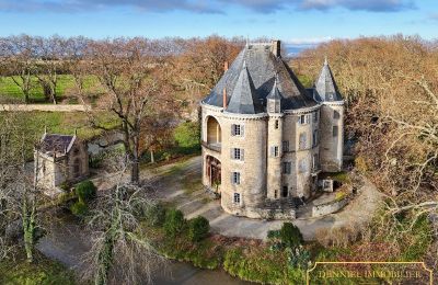 Hrad na predaj Valence, Auvergne-Rhône-Alpes, Obrázok 1/28
