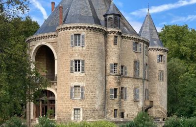Hrad na predaj Valence, Auvergne-Rhône-Alpes, Obrázok 5/28