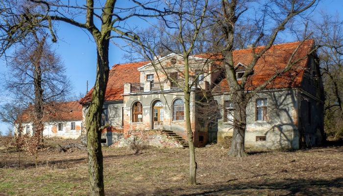 Kaštieľ na predaj Rogów Wołowski, Dolné Sliezsko