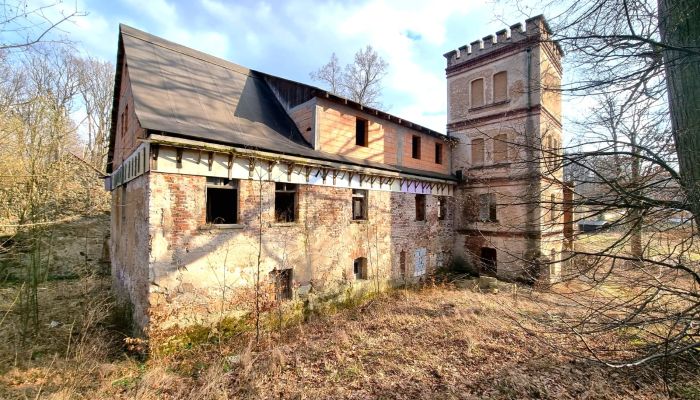 Historická vila na predaj Staniszów, Dolné Sliezsko