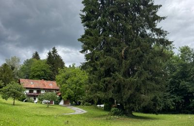 Vidiecky dom na predaj Štajersko, Obrázok 5/25