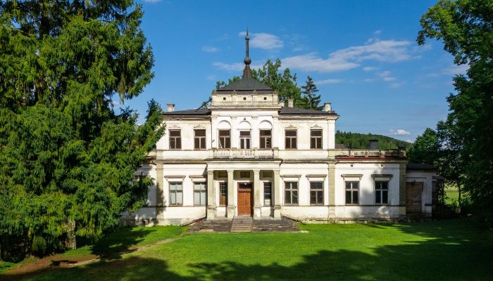 Zámok na predaj Sancygniów, Svätokrižsko