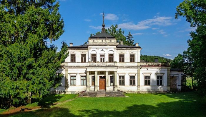 Zámok na predaj Sancygniów, Svätokrižsko