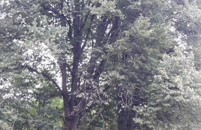 Kaštieľ na predaj Lure, Rue Kleber 8, Burgundsko-Franche-Comté, Obrázok 35/60