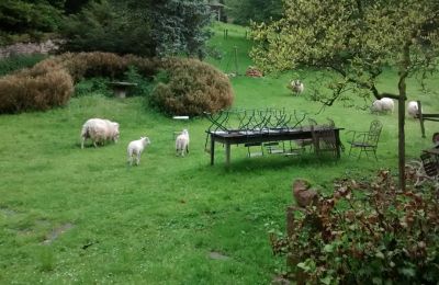 Kaštieľ na predaj Lure, Rue Kleber 8, Burgundsko-Franche-Comté, Obrázok 32/60
