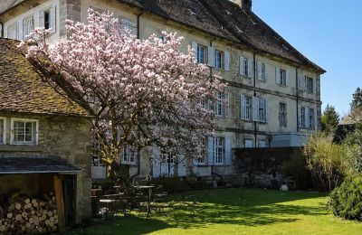 Kaštieľ na predaj Lure, Rue Kleber 8, Burgundsko-Franche-Comté, Obrázok 2/60
