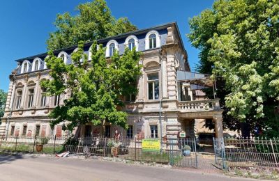 Kaštieľ na predaj Elsteraue, Bornitzer Weg 01, Sasko-Anhaltsko, Ein-Herrenhaus-mit-Seele-Geschichte-Charakter-und-auergewohnliche-Perspektiven (10)