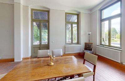 Kaštieľ na predaj Elsteraue, Bornitzer Weg 01, Sasko-Anhaltsko, Ein-Herrenhaus-mit-Seele-Geschichte-Charakter-und-auergewohnliche-Perspektiven (34)