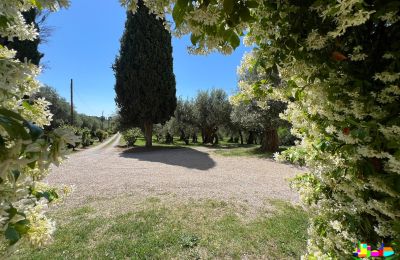 Historická vila na predaj 06061 Castiglione del Lago, localita croce 2, Umbrie, Obrázok 32/38