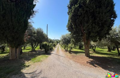 Historická vila na predaj 06061 Castiglione del Lago, localita croce 2, Umbrie, Obrázok 5/38