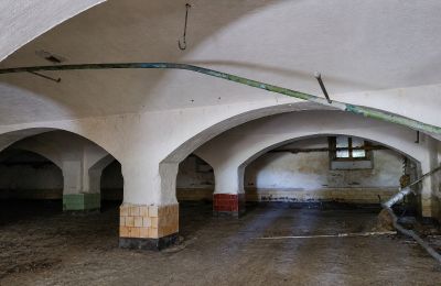 Historická nehnuteľnosť na predaj Wioska, Kujavsko-Pomoransko, Obrázok 9/19