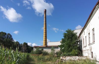 Historická nehnuteľnosť na predaj Wioska, Kujavsko-Pomoransko, Obrázok 14/19