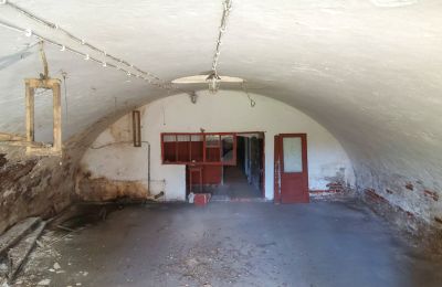 Historická nehnuteľnosť na predaj Wioska, Kujavsko-Pomoransko, Obrázok 11/19