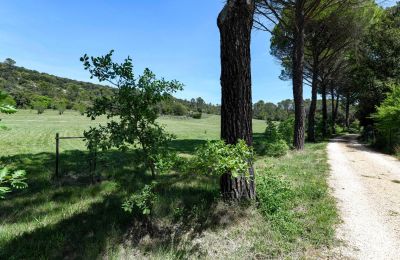 Kaštieľ na predaj Uzès, Okcitánia, Obrázok 52/54