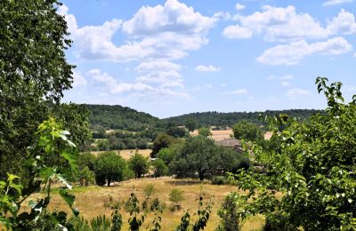 Vidiecky dom na predaj Uzès, Okcitánia, Obrázok 18/38