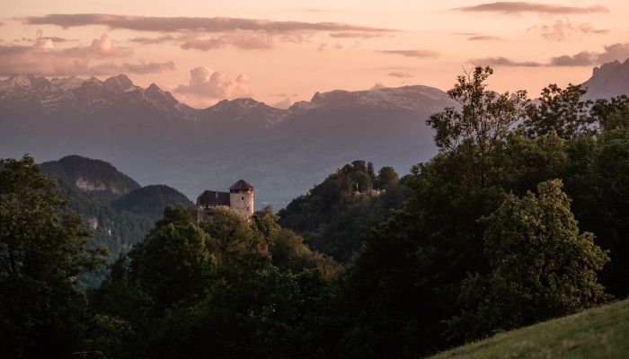  Hohenems 4