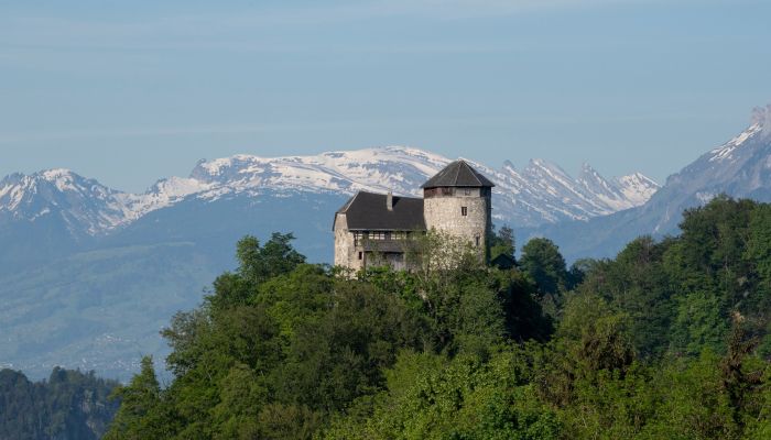  Hohenems 2