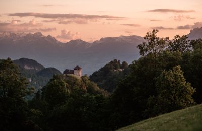 Zámok na predaj 6845 Hohenems, Vorarlberg, Obrázok 4/20