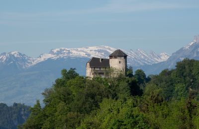 Zámok na predaj 6845 Hohenems, Vorarlberg, Obrázok 2/20