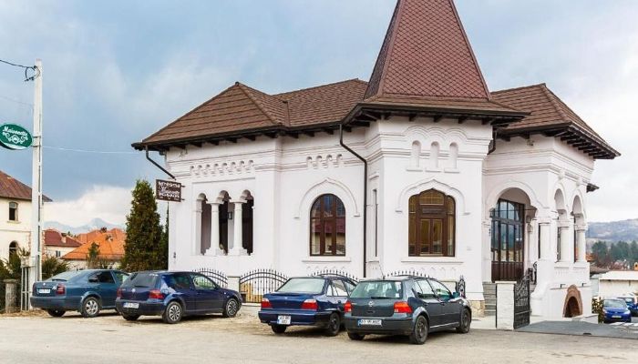 Mestský palác na predaj Campulung, Arges