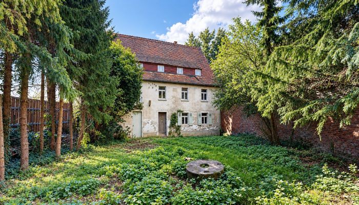 Historická nehnuteľnosť na predaj 06686 Lützen, Sasko-Anhaltsko