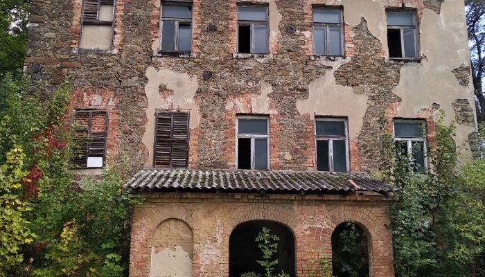  Kostrzyna 5