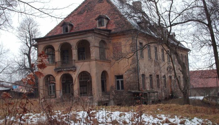  Kostrzyna 3