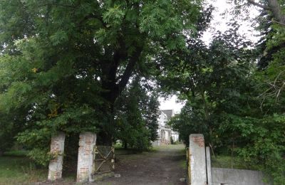 Zámok na predaj Łęg, województwo wielkopolskie, Vchod