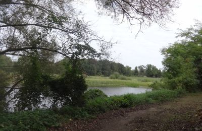 Zámok na predaj Łęg, województwo wielkopolskie:  Zámocký park