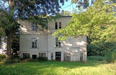 Kaštieľ na predaj Goniembice, Dwór w Goniembicach, województwo wielkopolskie, Pohľad zboku
