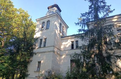 Kaštieľ na predaj Goniembice, Dwór w Goniembicach, województwo wielkopolskie, Obrázok 2/8