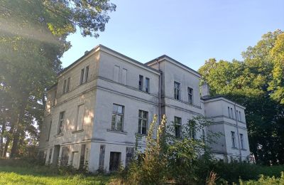 Kaštieľ na predaj Goniembice, Dwór w Goniembicach, województwo wielkopolskie, Obrázok 5/8