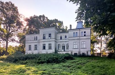 Kaštieľ na predaj Goniembice, Dwór w Goniembicach, województwo wielkopolskie, Dwór w Goniembicach 2025