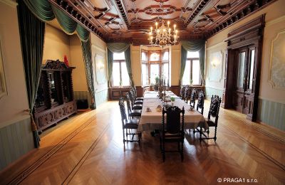 Historická vila na predaj Ústecký kraj:  