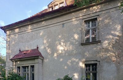 Kaštieľ na predaj Osieczna, województwo wielkopolskie, Detaily