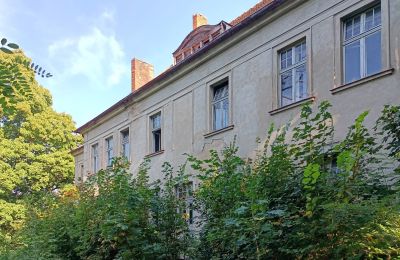 Kaštieľ na predaj Osieczna, województwo wielkopolskie, Pohľad zo zadnej strany