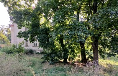 Kaštieľ na predaj Osieczna, województwo wielkopolskie, Zámocký park