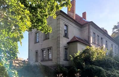 Kaštieľ na predaj Osieczna, województwo wielkopolskie, Pohľad zboku