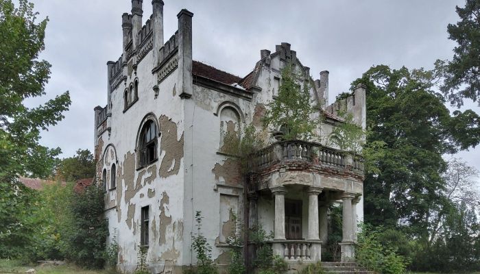 Kaštieľ na predaj Brodnica, województwo wielkopolskie,  Poľsko